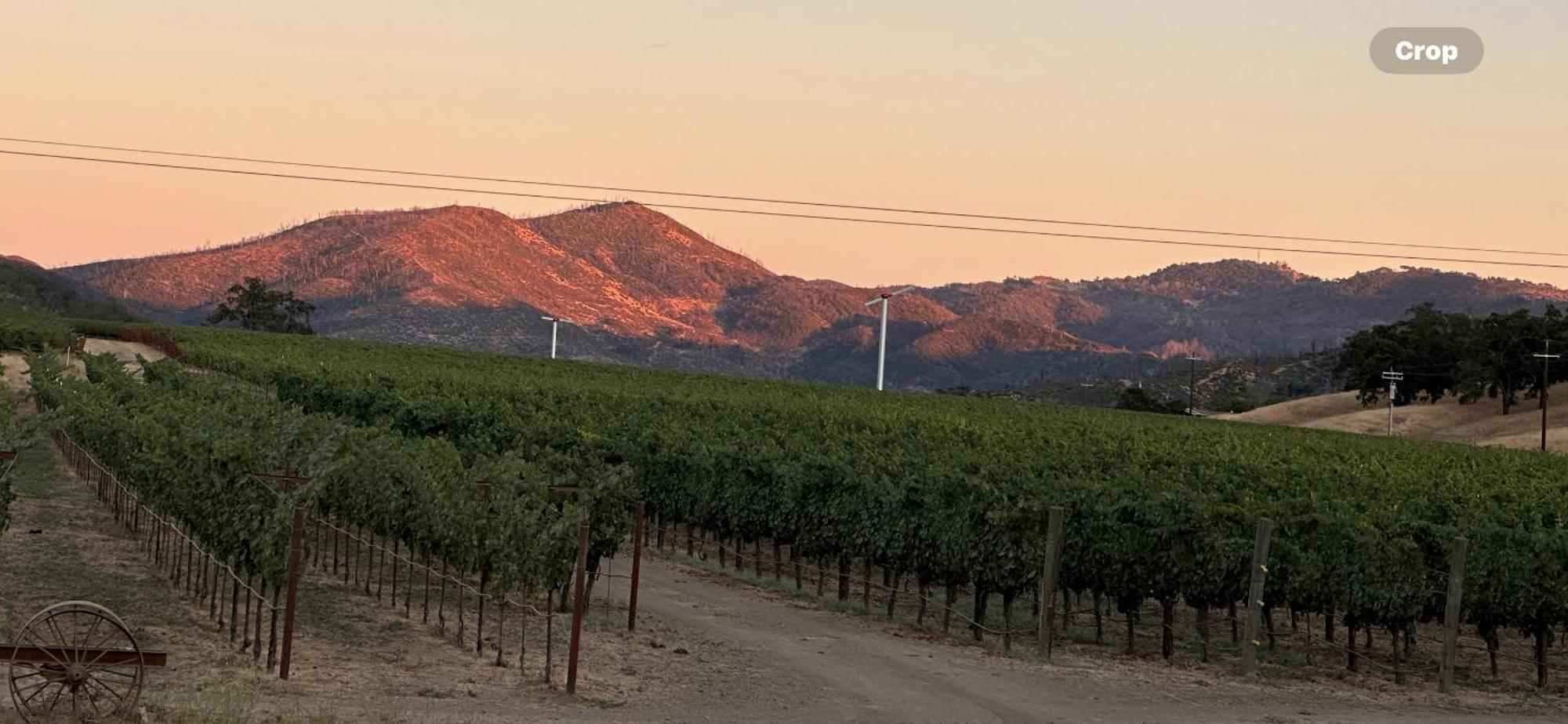 Bed and Breakfast Rustridge Ranch&Winery St. Helena Exterior foto