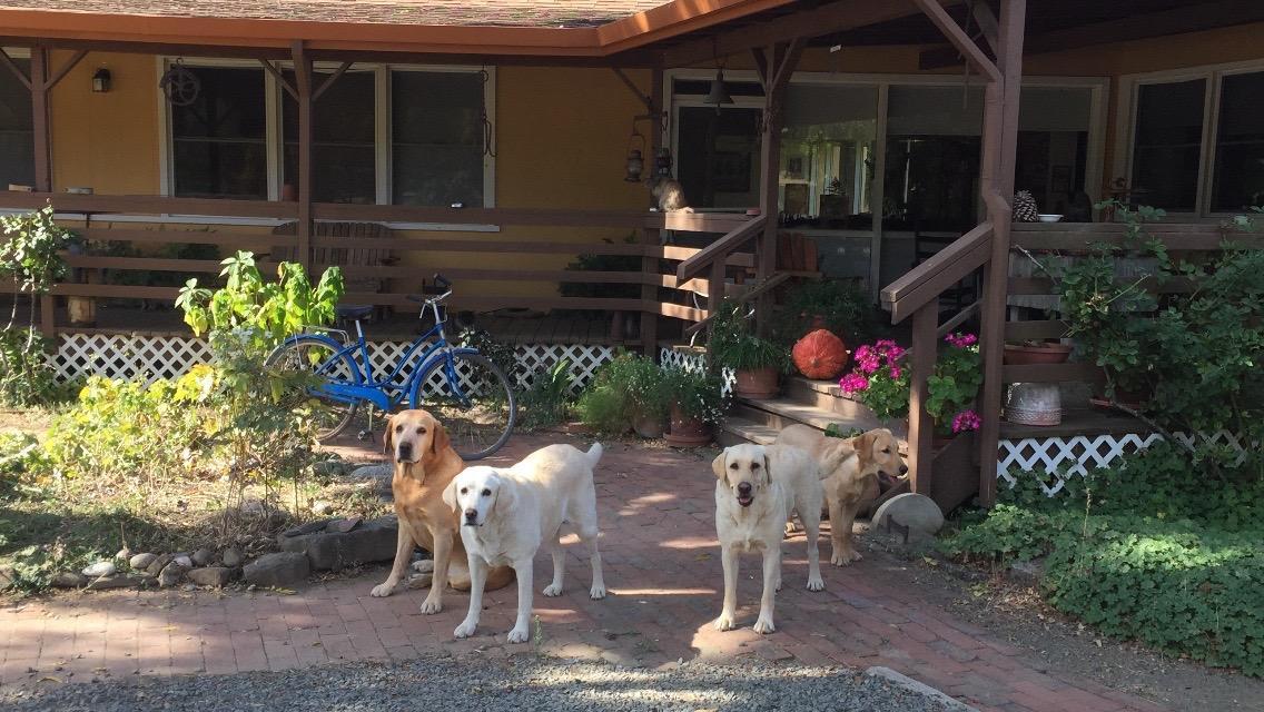Bed and Breakfast Rustridge Ranch&Winery St. Helena Exterior foto