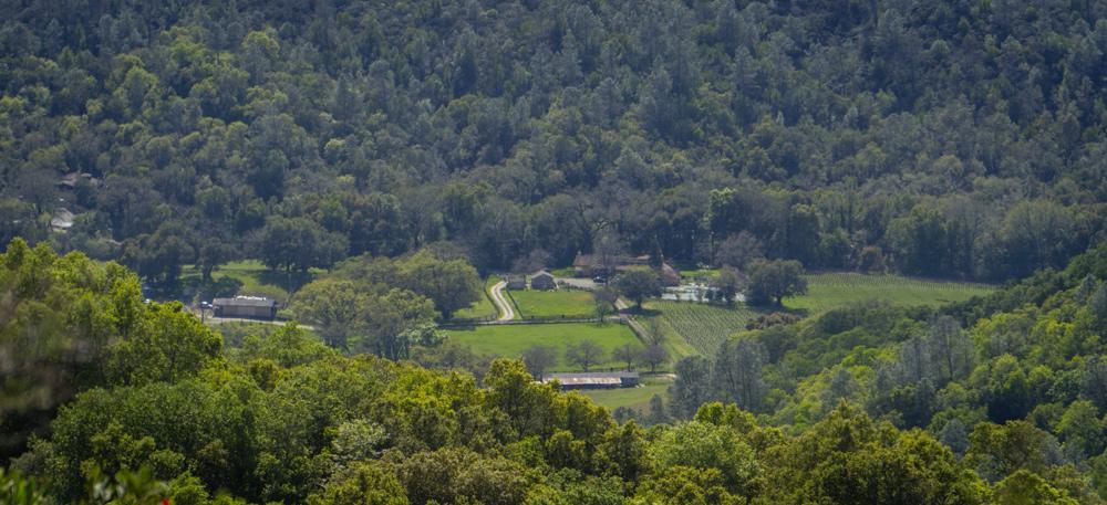 Bed and Breakfast Rustridge Ranch&Winery St. Helena Exterior foto