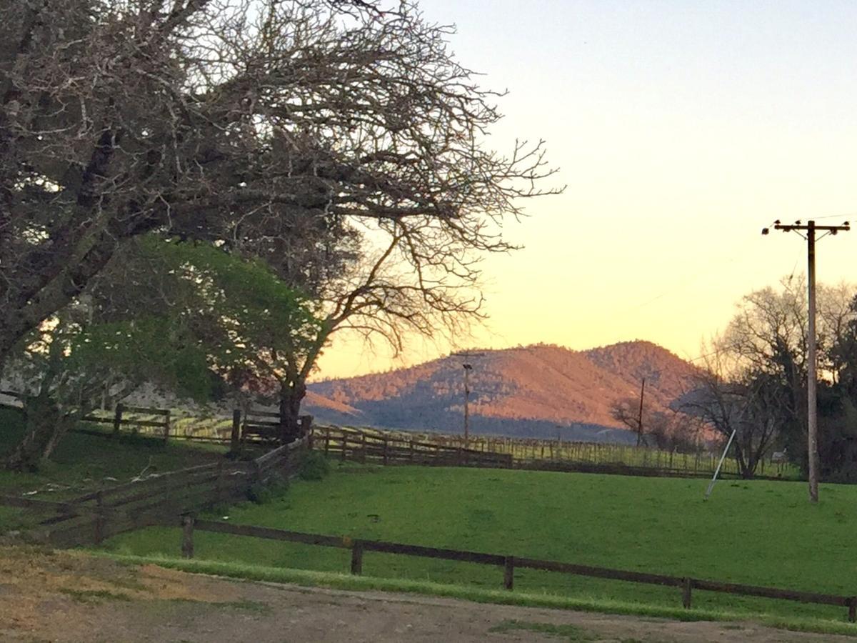 Bed and Breakfast Rustridge Ranch&Winery St. Helena Exterior foto