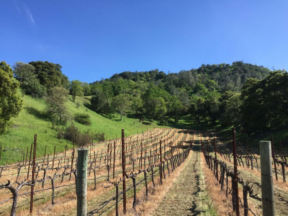 Bed and Breakfast Rustridge Ranch&Winery St. Helena Exterior foto