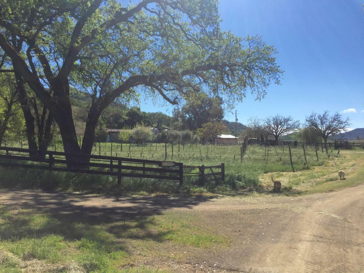 Bed and Breakfast Rustridge Ranch&Winery St. Helena Exterior foto