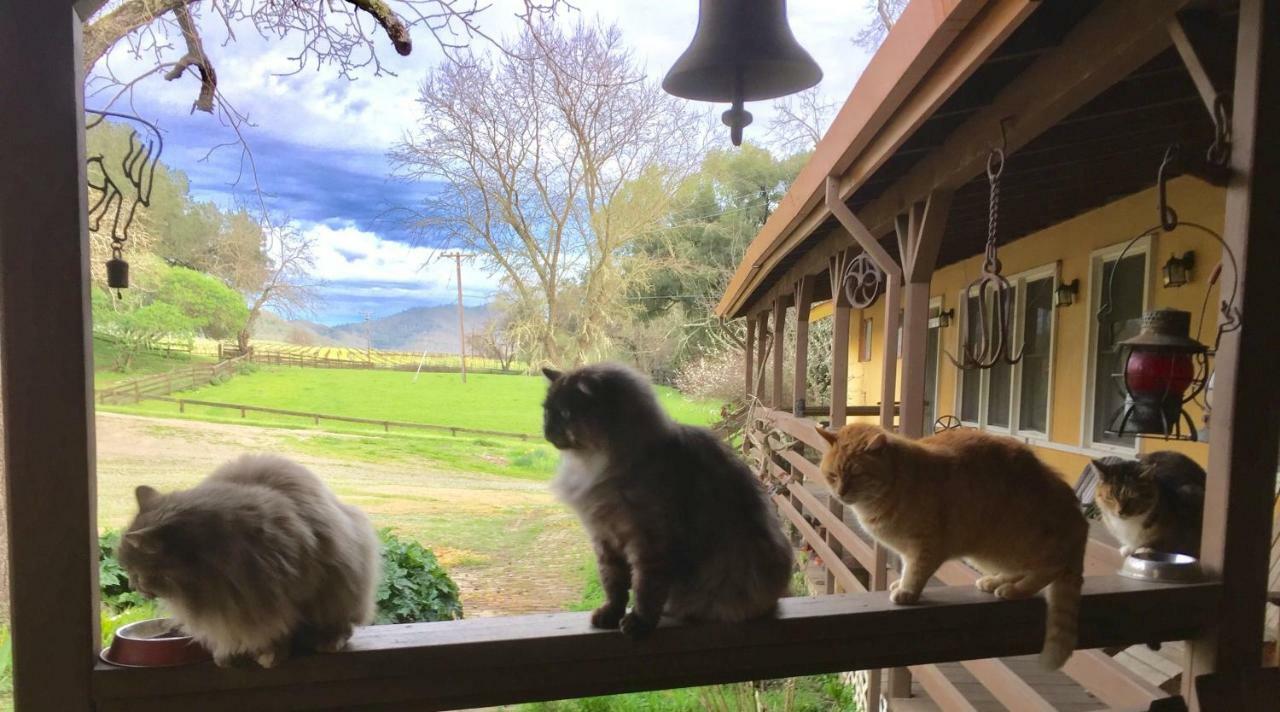 Bed and Breakfast Rustridge Ranch&Winery St. Helena Exterior foto