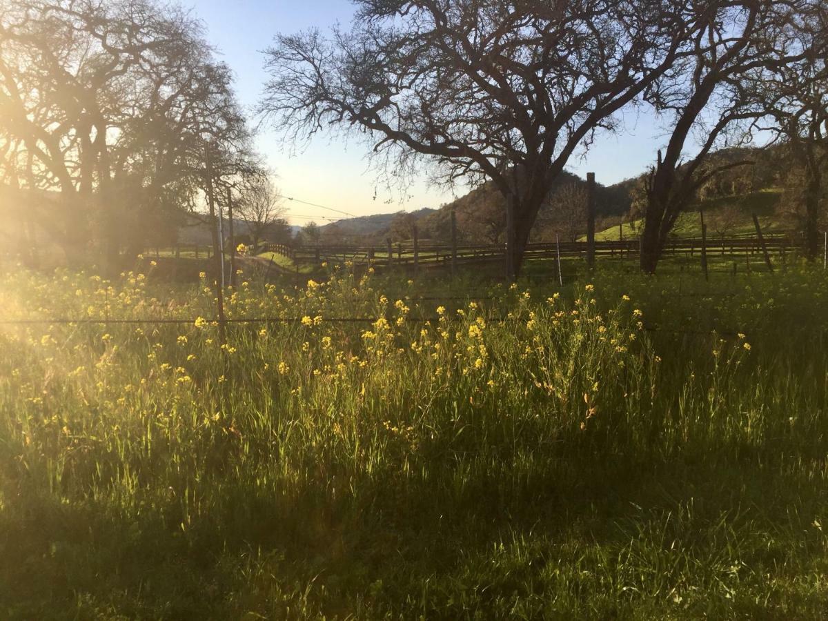 Bed and Breakfast Rustridge Ranch&Winery St. Helena Exterior foto