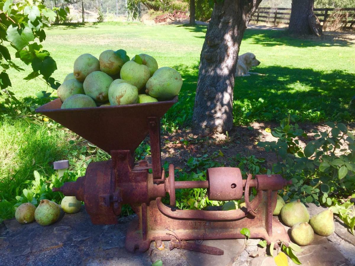 Bed and Breakfast Rustridge Ranch&Winery St. Helena Exterior foto